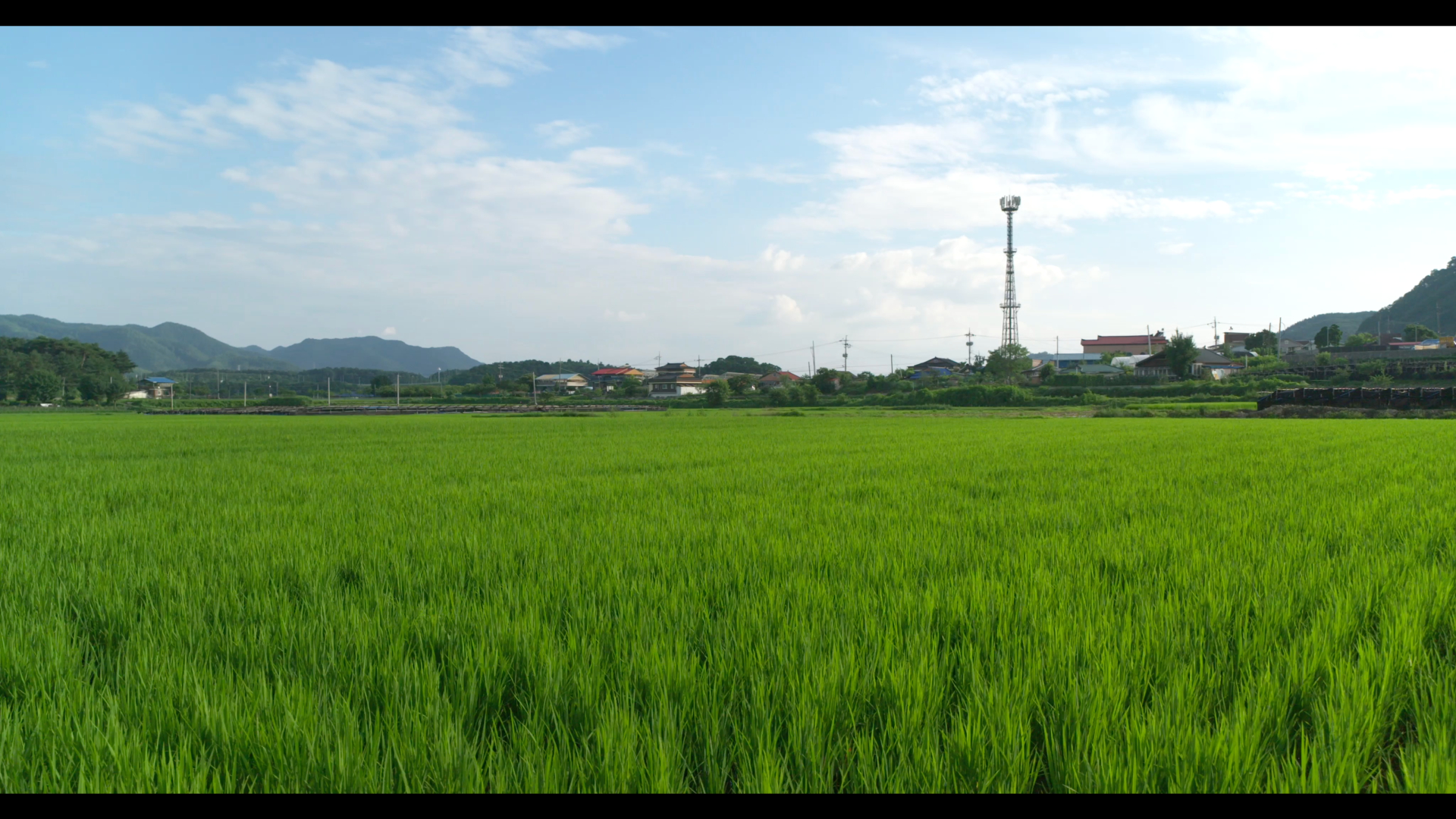 still03.jpg