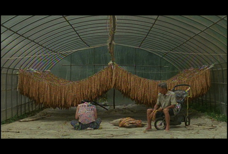 본 보야지:월드투어 2008