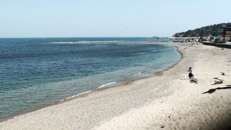 인어가 된 엄마